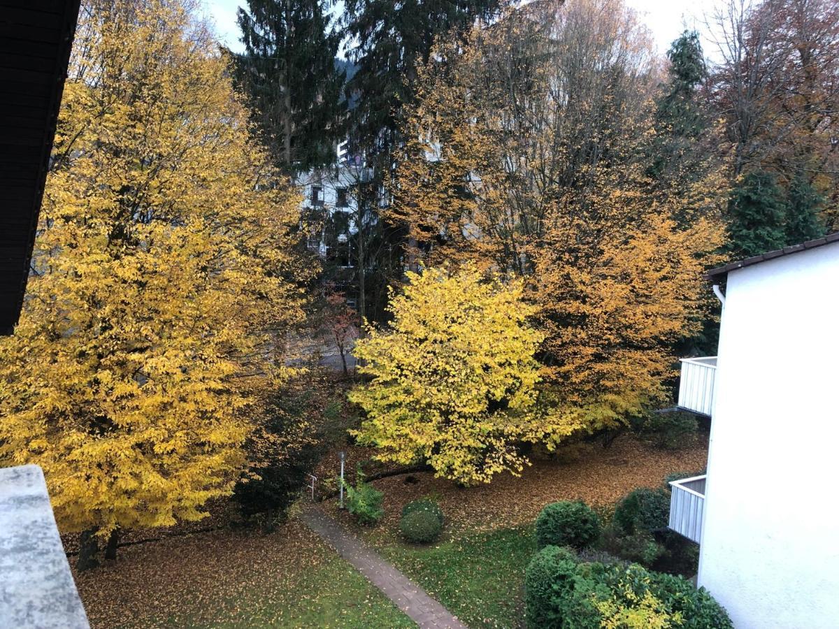 Cozy Apartment Fremersberg For 2 بادن بادن المظهر الخارجي الصورة